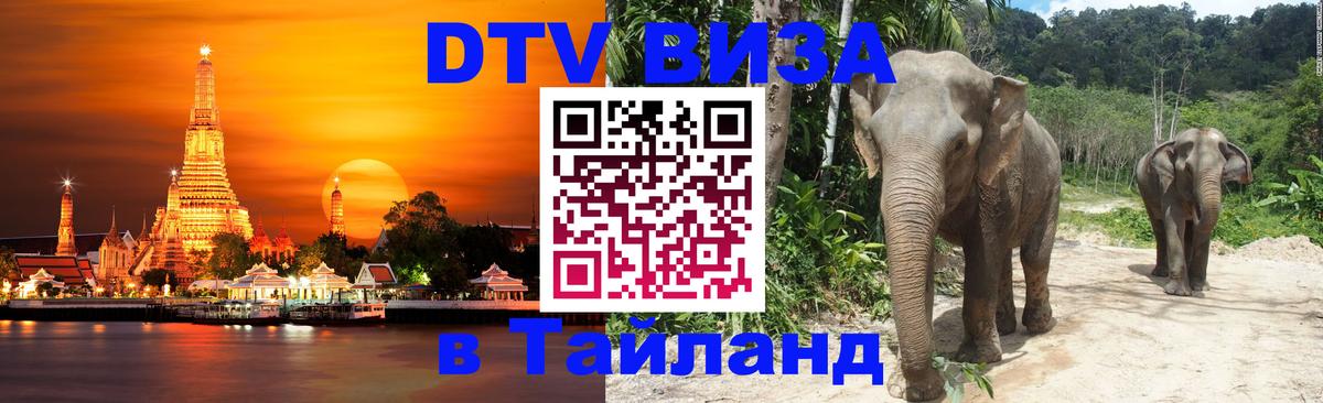 Виза ДТВ на 5 лет в Тайланд Долгопрудный 